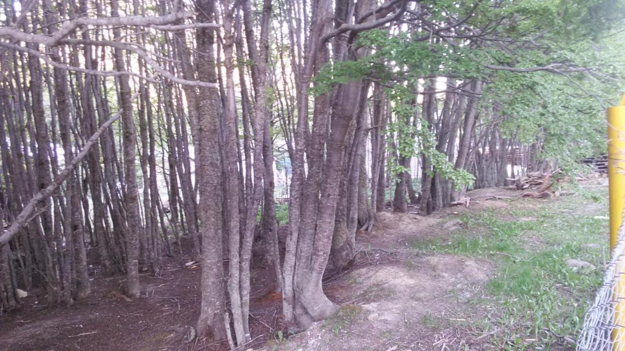 Camping La Encantada ウシュアイア エクステリア 写真
